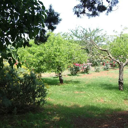 Masseria Cristo *